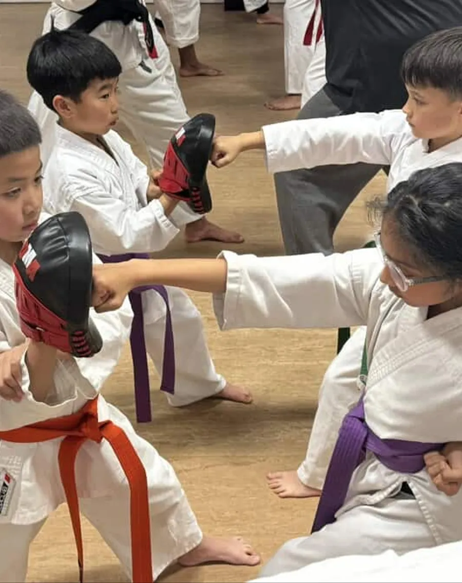 Strengthen Your Body & Mind Through Our Japanese Karate Classes!